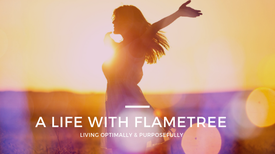 A Life With Optimal Health & Purpose | The FlameTree System