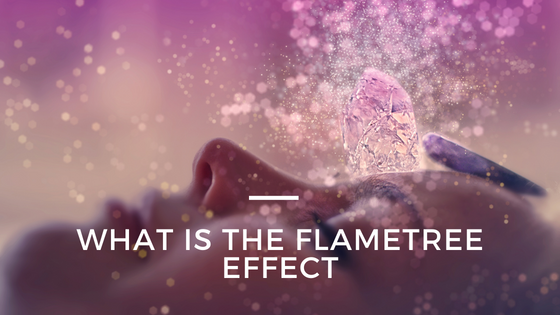 What is the FlameTree effect?
